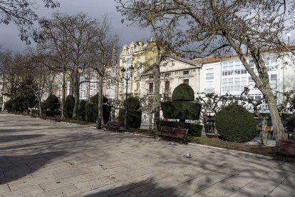 Cuatro de los ejemplares de acacia del Espolón están ubicados frente al Consulado del Mar. SANTI OTERO