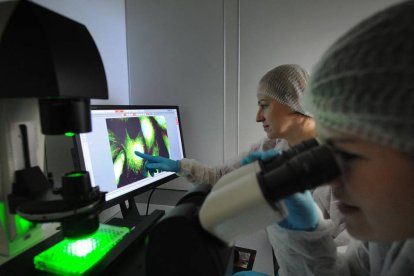 Dos investigadoras trabajan con el microscopio de fluorescencia.-ISRAEL L. MURILLO