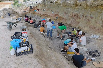 YACIMIENTO DE DINOSAURIOS EN TORRELARA.