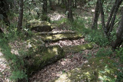 Zona boscosa en los Montes Obarenes. G. GONZÁLEZ