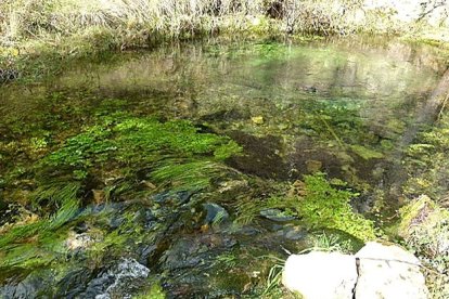 El agua del pozo de Quintanilla Valdebodre surge de un subterráneo de más de cien metros de largo.