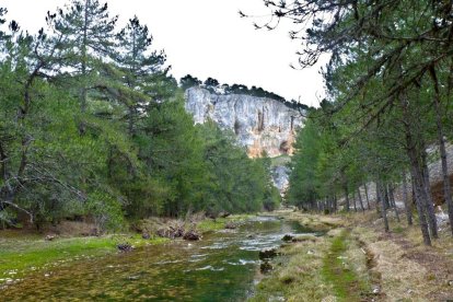 Vista del Cañón de Río Lobos, uno de los grandes atractivos de la villa.-AYUNTAMIENTO DE HONTORIA DEL PINAR