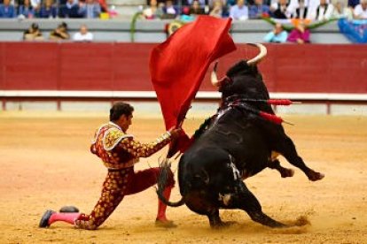 Corrida de toros en el Coliseum de Burgos en una imagen de archivo. ECB