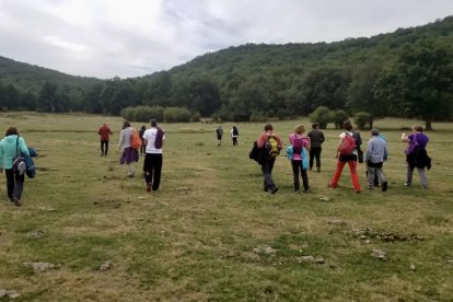 El proyecto une los atractivos de las comarcas de Pinares y Merindades. R. F.