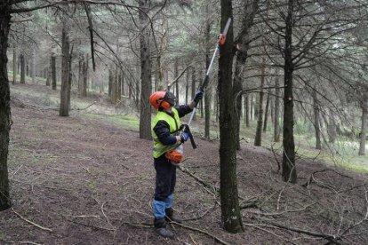 La contratación de brigadas forestales es una de las afectadas. ECB