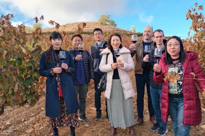 Imagen de los importadores de Japón que visitan estos días la Ribera del Duero. L.V.