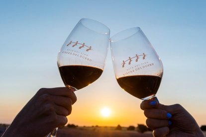 La Ribera del Duero es una de las zonas vinícolas de mayor prestigio