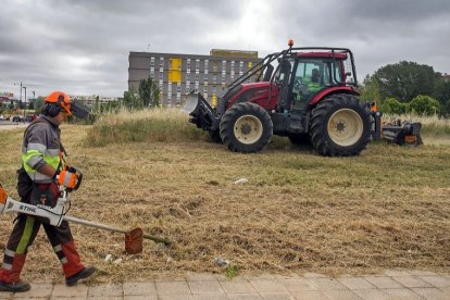 Trabajos de desbroce de una parcela municipal de Burgos junto al centro de salud José Luis Santamaría. TOMÁS ALONSO