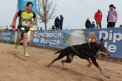 Imagen de la prueba celebrada en alas de los Infantes. CANICROSS BURGOS