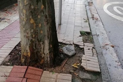 Detalle de la acera en las cercanías del puente Gasset.