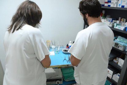 La implicación delpersonal de Microbiología del hospital de Santa Bárbara de Soria ha sido total.-ÁLVARO MARTÍNEZ