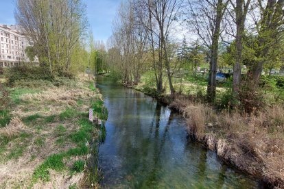 Río Arlanzón, a la altura del Puente de San Pablo. J.G.L.