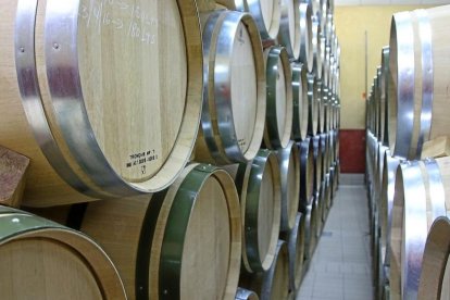 Una sala de barricas de una bodega de Ribera