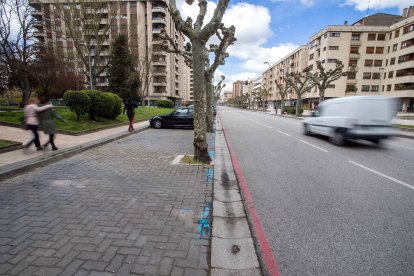 El carril bici en este tramo de la calle Vitoria irá separado de la acera y de la calzada. El aparcamiento pasará de ser en batería a línea. TOMÁS ALONSO