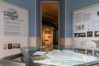 Exposición ‘El lenguaje y la dieta’ en el Palacio de la Isla de Burgos. ECB