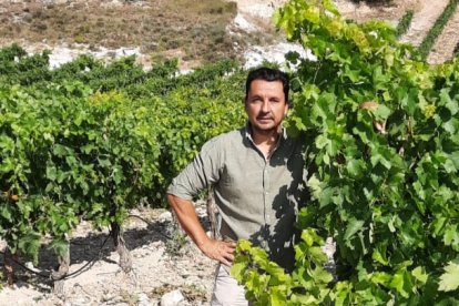 Alfonso Velasco, de Bodegas El Inicio, posa en uno de sus viñedos en Ribera del Duero