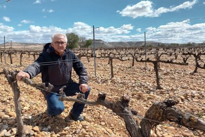 Juan Lázaro es viticultor en la Ribera del Duero.