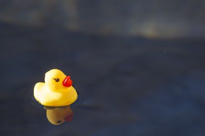 Los miembros de la parroquia de San Martín de Porres y alumnos del Centro Estela de Down Burgos soltaron 300 patitos amarillos. SANTI OTERO