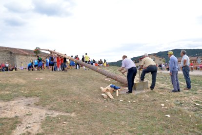 Pingada del Mayo en Canicosa de la Sierra.