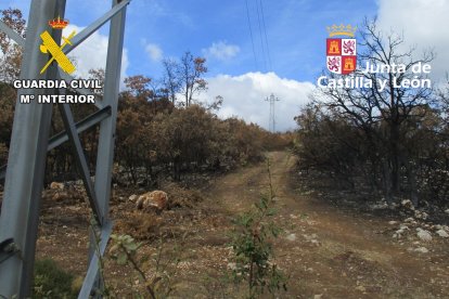 Zona donde se originó el incendio en Los Altos.