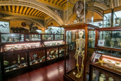 Imagen de la entrada del Museo de Ciencias Naturales del Instituto Cardenal López de Mendoza.