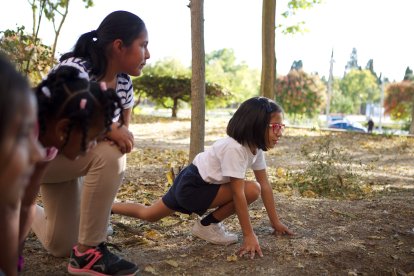 Actividades de verano CaixaProinfancia Fundación la Caixa