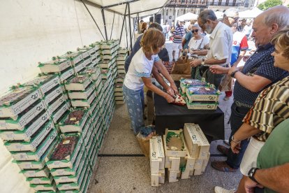 Venta de cerezas en la Plaza Mayor de Burgos.