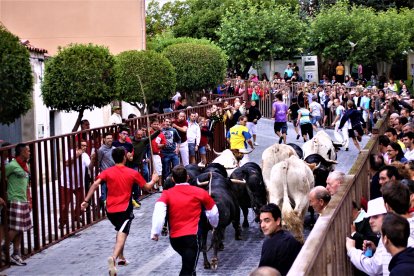 Los encierros de la localidad son uno de los grandes atractivos de la villa.