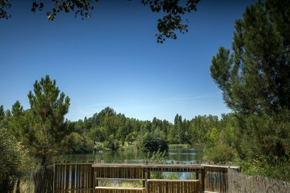 Vista del humedal de Fuentes Blancas.
