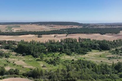 Valle del río Arlanzón, que actualmente discurre a tres kilómetros de la Sierra de Atapuerca y sus yacimientos.