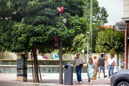 La señal superior, la luz para los vehículos y la de los peatones, casi ocultas por el árbol.