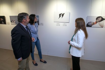 El presidente de la Fundación CajaViva Caja Rural, Tomás Fisac, con la responsable de One Welfare, Rebeca García, y la coordinadora del concurso de Fotografía, Isabel Rollo.