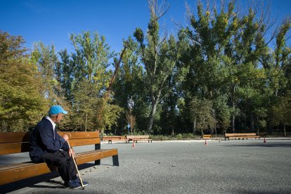 Dos trabajadores de Jardines de Burgos subidos a una grúa para podar las copas de los chopos en el parque de La Quinta.