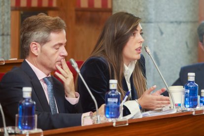 Un momento del Pleno municipal del Ayuntamiento de Burgos.