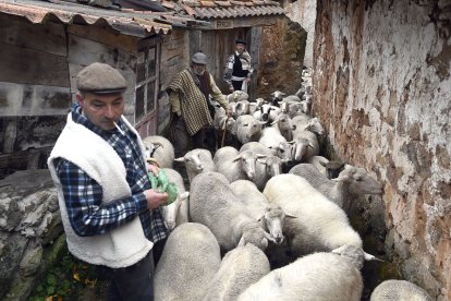 Tradicional representación de la Despedida de los pastores que se celebra en Tolbaños de Arriba