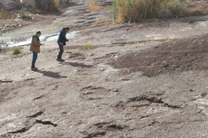 Trabajos de análisis del rastro único de Breviparopus en la localidad de Taghbalout.