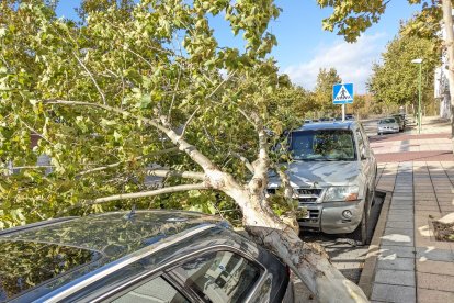 Las fuertes rachas de viento han tenido en jaque a los servicios de emergencia.