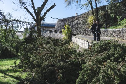 Efectos de la borrasca Domingos en Burgos.