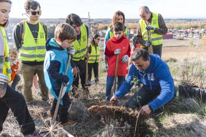 Instante de la plantación de árboles promovida por Fundación Oxígeno.