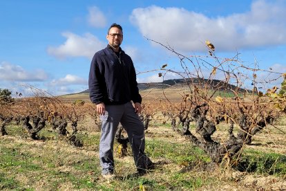 Antonio de la Fuente posa en una de las parcelas que trabaja en la Ribera del Duero.