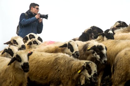 El joven burgalés Jorge Contreras hace fotos a un rebaño de ovejas.