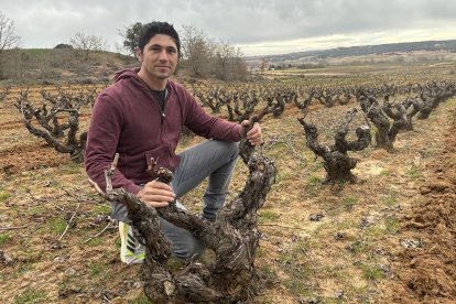 Daniel Maestre, junto a uno de sus viñedos.