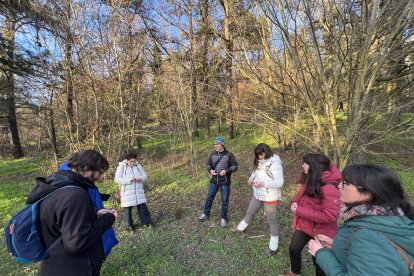 Varias personas disfrutan de un baño de bosque de la mano de la agrupación regional creada para acompañar estas experiencias.