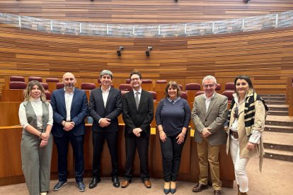 Representantes de Sentir Aranda y Soria YA en el Parlamento autonómico.