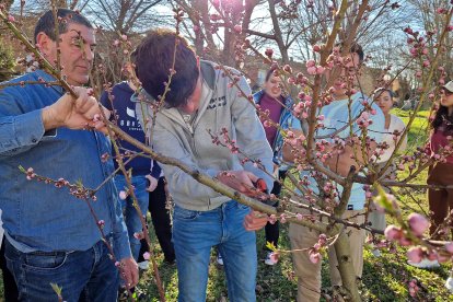 Ejercicio de poda de frutales y viñedos para los estudiantes de la UBU