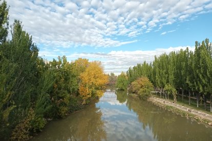 Imagen del río Duero a su paso por Aranda