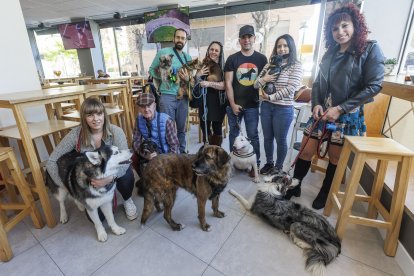 La comunidad Pet Friendly favorece la sociabilidad entre `peludos` y humanos