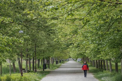 Los paseantes aún pudieron disfrutar del parque de El Parral ayer, a la espera de que arranque la obra.