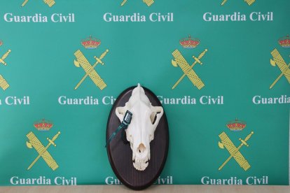 GUARDIA CIVIL