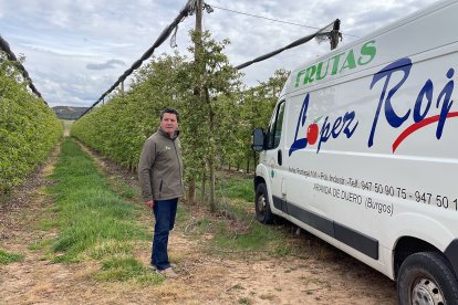 Fermín López Rojo posa en su finca de manzanos